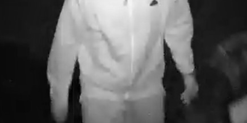 POL-BS: Öffentlichkeitsfahndung nach Straßenraub - Foto: presseportal.de