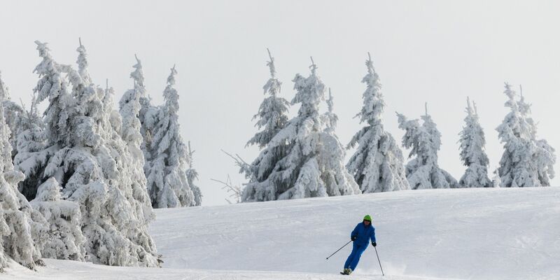 Ein Wintersportler fährt auf Skiern eine Piste hinunter. - Foto: Philipp von Ditfurth/dpa