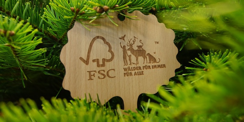 Ein Weihnachtsbaum mit Haltung - FSC Deutschland schafft Klarheit für Verantwortung unterm Christbaum - Foto: presseportal.de