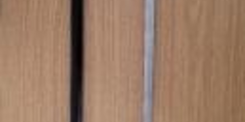 BPOL-FL: Hüttener Berge - Bundespolizei entdeckt bei Kontrolle als Gehstock getarnten Stockdegen - Foto: presseportal.de