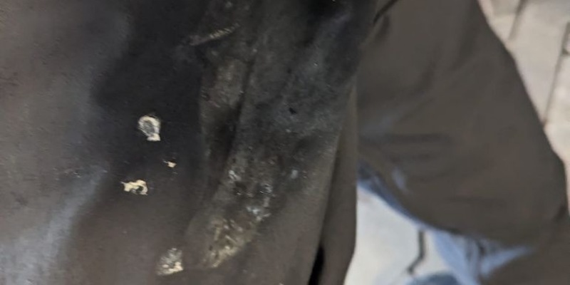 DPolG Niedersachsen: Gewaltspirale in den Fußballstadien sofort beenden / Körperverletzungen und Sachbeschädigungen sind nicht tolerabel - Foto: presseportal.de