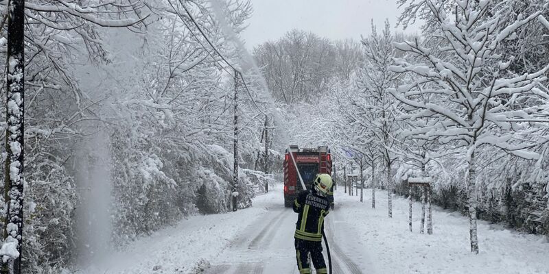 Kräfe der Feuerwehr im Einsatz in Kritzendorn, um Stromleitungen vor herabfallenden Ästen zu schützen. - Foto: Franz Resperger/NÖLFK/APA/dpa