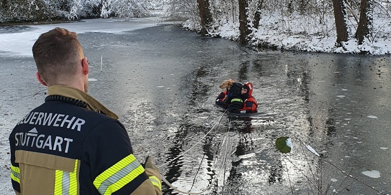 FW Stuttgart: Tierrettung Riedsee - Hund in Eisfläche eingebrochen - Foto: presseportal.de