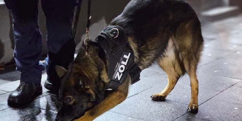 HZA-DU: Zoll stellt Drogen im Wert von fast einer Million Euro sicher - Kokain und Haschisch statt Diesel im Tank - Ecstasy statt Kaffeebohnen in Kartons - Foto: presseportal.de