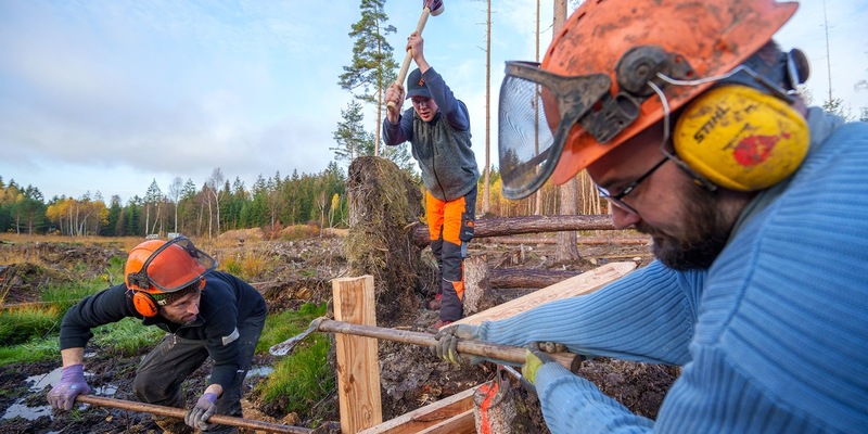 Wälder, Moore, Biotope: mit Freiwilligenarbeit aktiv für die Wiederherstellung der Ökosysteme / Bergwaldprojekt 2024 mit Rekordangebot an Mitmachmöglichkeiten - Foto: presseportal.de