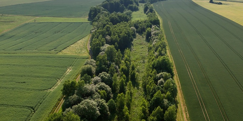 Großer Erfolg: Grünes Band wird von Deutschland als UNESCO-Welterbe vorgeschlagen / Vom BUND am 9. Dezember 1989 initiiert - Foto: presseportal.de