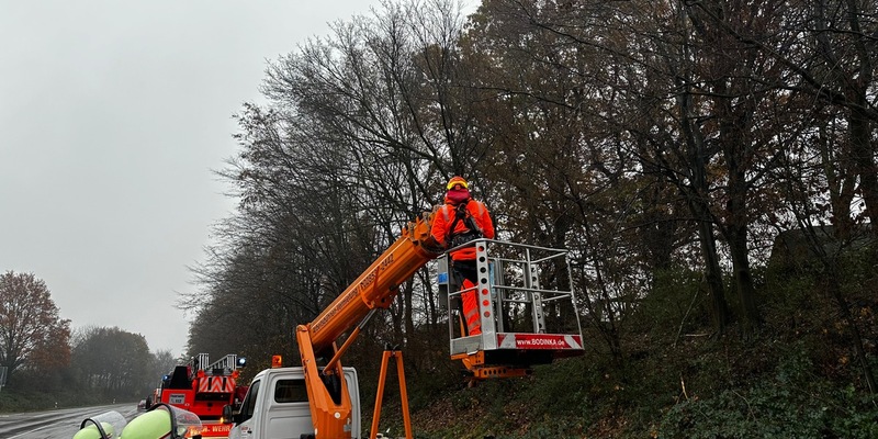 FW-Schermbeck: Baum droht auf Fahrbahn zu stürzen - Foto: presseportal.de