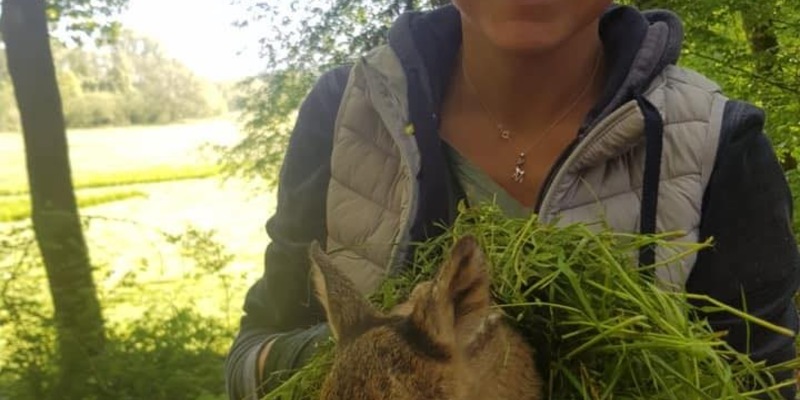 Deutscher Engagementpreis: Betrug an den Abstimmenden - Foto: presseportal.de