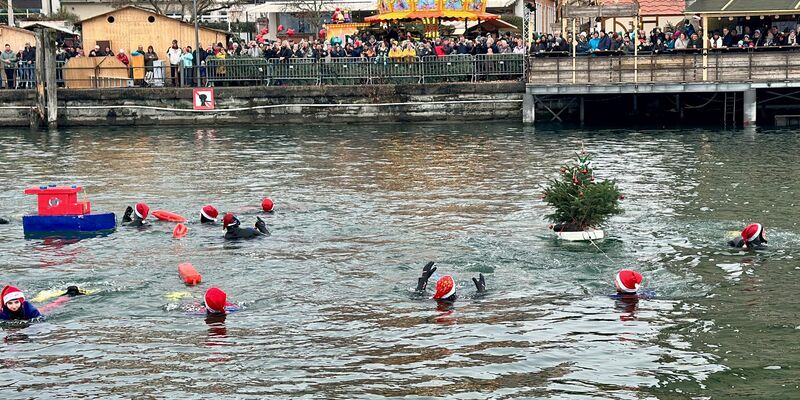 Nikolausschwimmen: Schaulustige schauen den Schwimmern in Lindau zu. - Foto: Davor Knappmeyer/-/dpa
