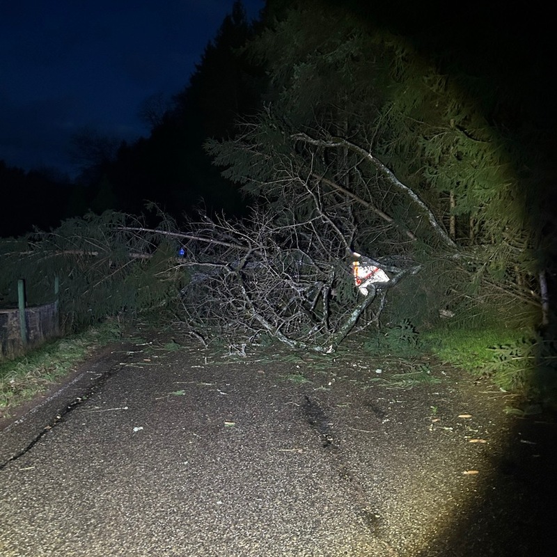 POL-PDLD: Windbruch legt Landstraße 490 lahm - Foto: presseportal.de