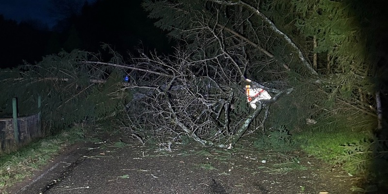 POL-PDLD: Windbruch legt Landstraße 490 lahm - Foto: presseportal.de