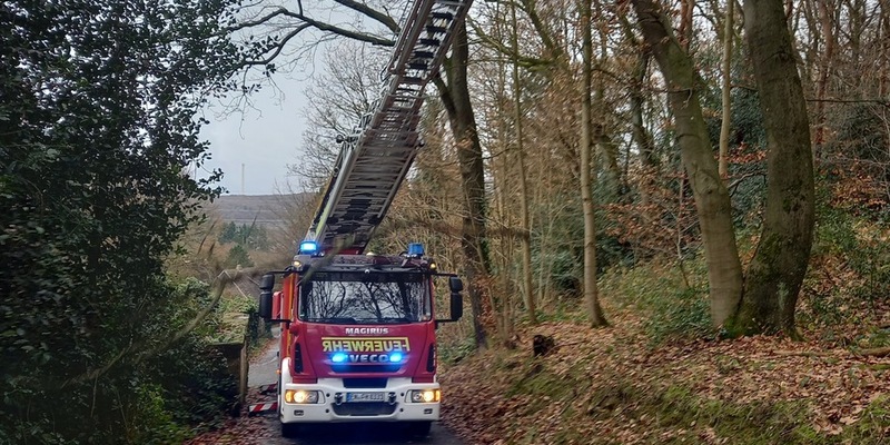 FW-EN: Äste drohen auf Straße zu stürzen und gemeldete Ölspur - Foto: presseportal.de