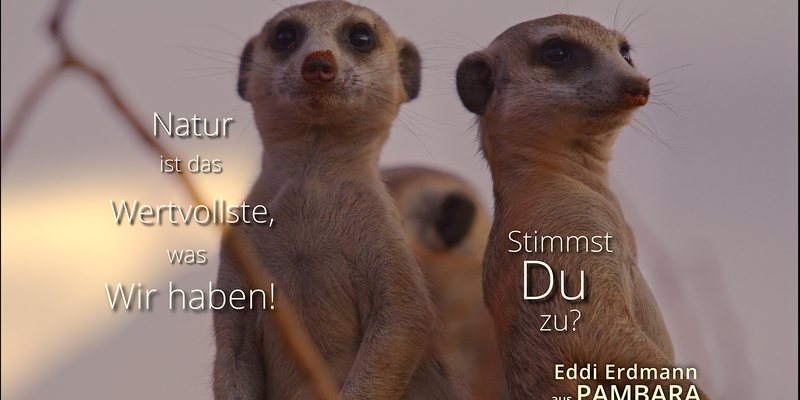  - Foto: Maleika Film GmbH über pressetext.de