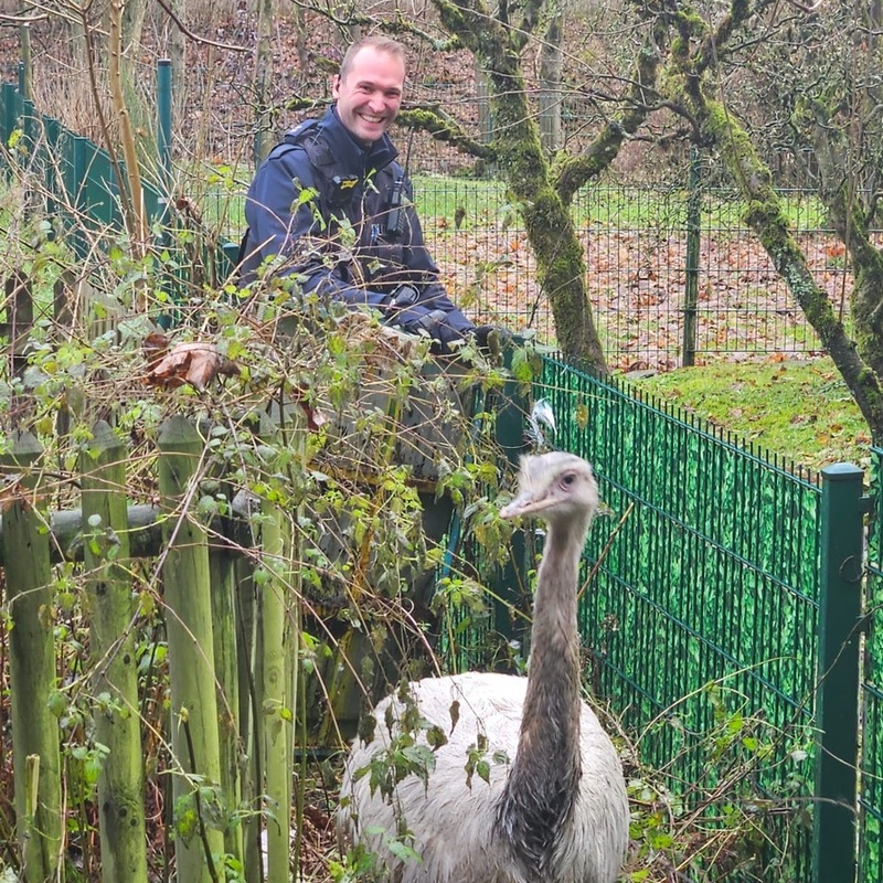POL-MK: Vogel frei, und doch kein Aus-