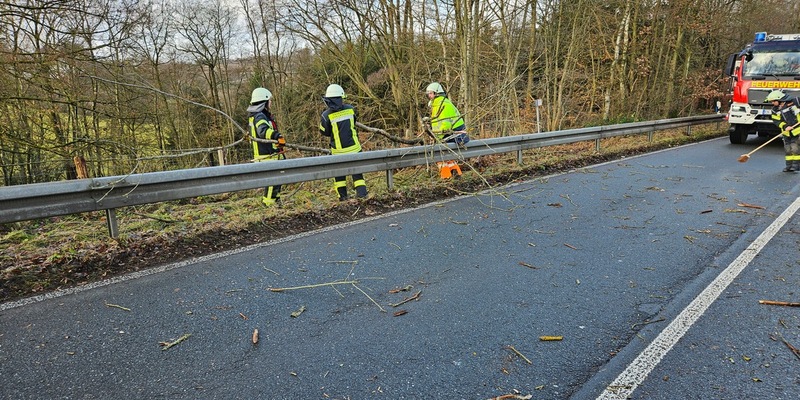 FW-EN: Baum auf Fahrbahn - Foto: presseportal.de