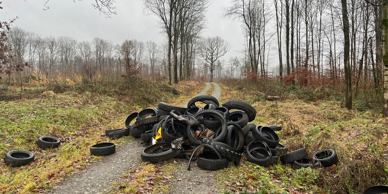 POL-HM: Altreifen in Natur entsorgt - Wer kann Hinweise geben? - Foto: presseportal.de