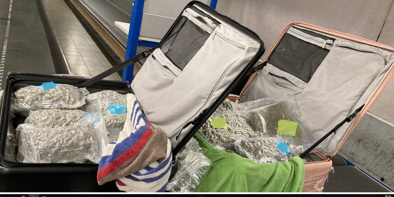 HZA-M: Zoll zieht knapp 60 Kilogramm Marihuana aus dem Verkehr - Foto: presseportal.de