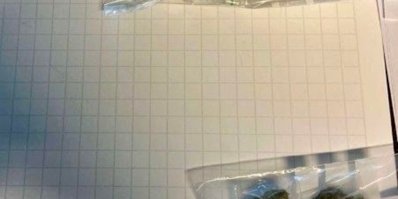 BPOL NRW: Bundespolizei beobachtet mutmaßlichen Drogendealer bei Verkauf - Foto: presseportal.de