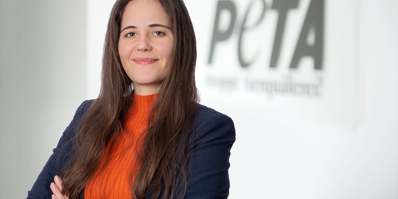 Bayern will Verbot der Anbindehaltung verhindern! PETA: Freistaat nimmt Tierquälerei billigend in Kauf - Foto: presseportal.de