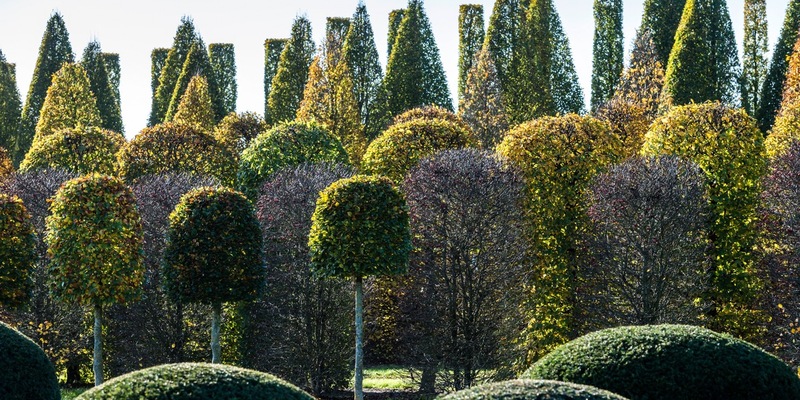 Bund deutscher Baumschulen (BdB) kritisiert den geplanten Wegfall des Agrardiesels als völlig verfehlte Entscheidung - Foto: presseportal.de