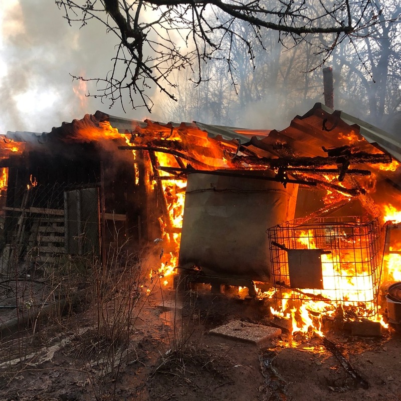 POL-PDKL: Holzhütte abgerannt - Foto: presseportal.de