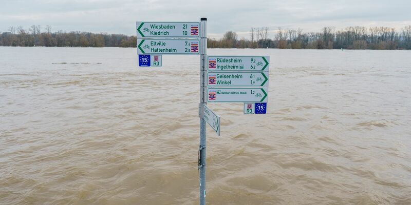 Der Radweg mit Beschilderung am Rheinufer im Ortsteil Mittelheim (Oestrich-Winkel) steht komplett unter Wasser. - Foto: Andreas Arnold/dpa