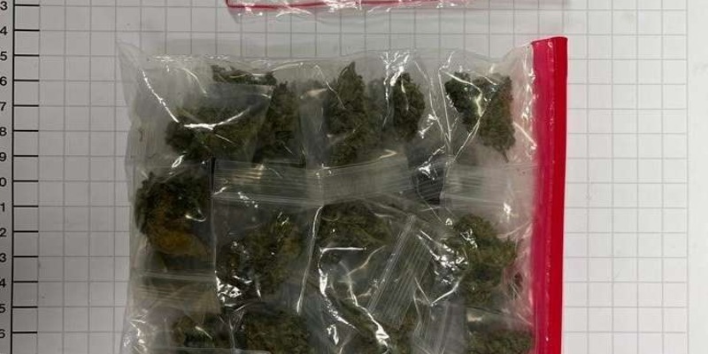 BPOL NRW: Bundespolizei nimmt mutmaßlichen Drogendealer im Hbf Bochum fest - Foto: presseportal.de