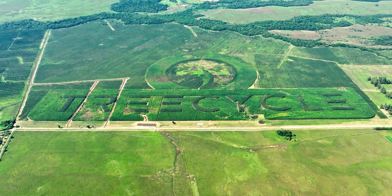 In Paraguay wächst des größte Naturlogo der Welt / Treecycle setzt Guinness-Weltrekord - Foto: presseportal.de