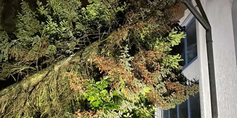 FW-GLA: Sturmtief Zoltan fegt durch Gladbeck - Feuerwehr im Einsatz - Foto: presseportal.de