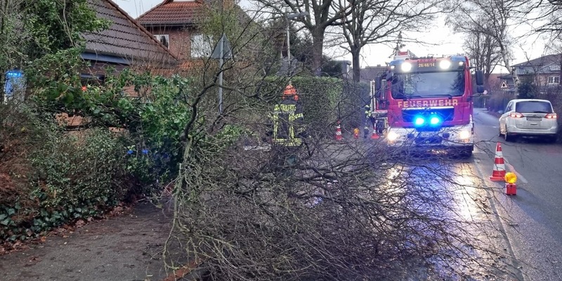 FFW Schiffdorf: Baum blockiert Straße und Gehweg - Foto: presseportal.de