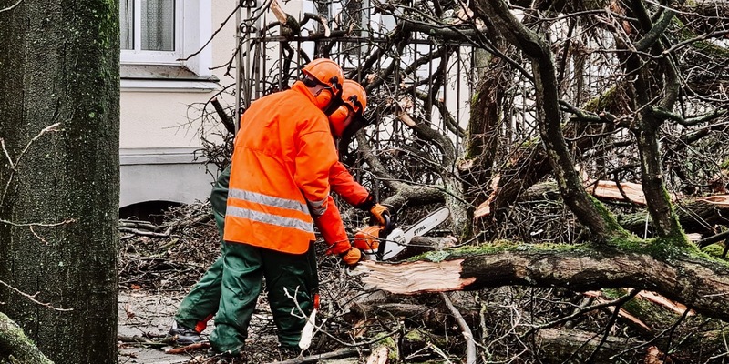 FW-RE: Sturmtief Zoltan verursacht Sturmschäden im Stadtgebiet - Mehrere Löschzüge im Einsatz - Foto: presseportal.de