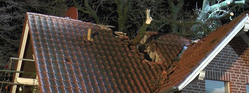 In Schapen (Niedersachsen) hat der Sturm einen Baum auf ein Wohnhaus gestürzt. - Foto: -/NWM-TV/dpa