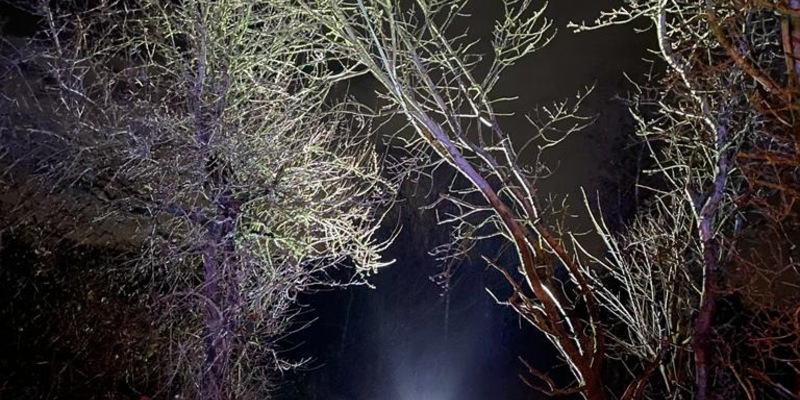 FW-EN: Wetter - Sturmtief Zoltan sorgt für ein gutes dutzent Einsätze im Stadtgebiet - Foto: presseportal.de