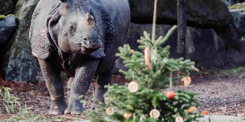 Mach-einen-Zoobesuch-Tag weckt Abenteuerlust nach den Feiertagen / Verband der Zoologischen Gärten lädt zum Zoobesuch auch im Winter - Foto: presseportal.de