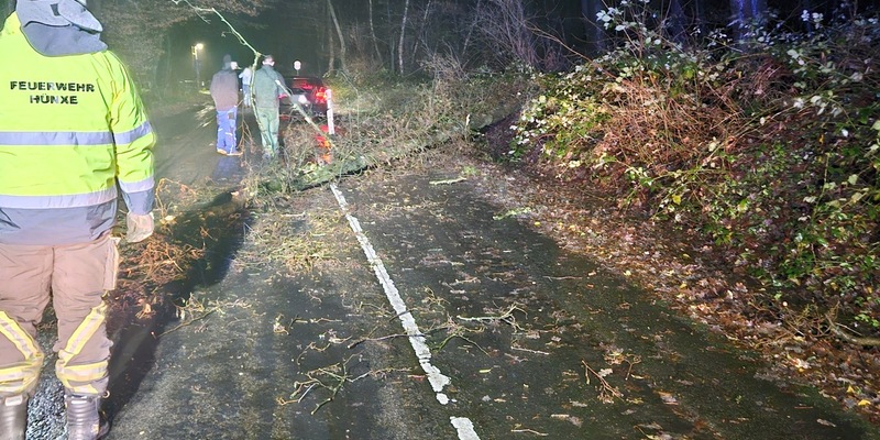FW Hünxe: Pkw kollidiert mit umgestürztem Baum - Foto: presseportal.de