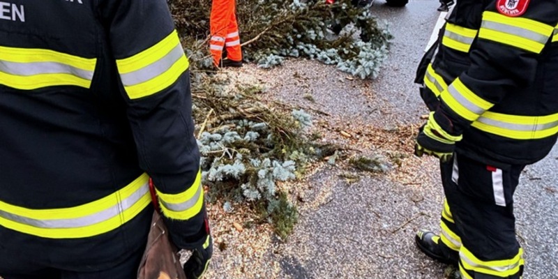 FW-M: Sturmtief Zoltan wollte es noch mal wissen (Stadtgebiet) - Foto: presseportal.de