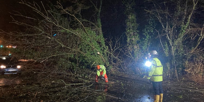 FW-EN: Glück im Unglück - PKW kommt zwischen umstürzenden Bäumen zum Stehen - Foto: presseportal.de