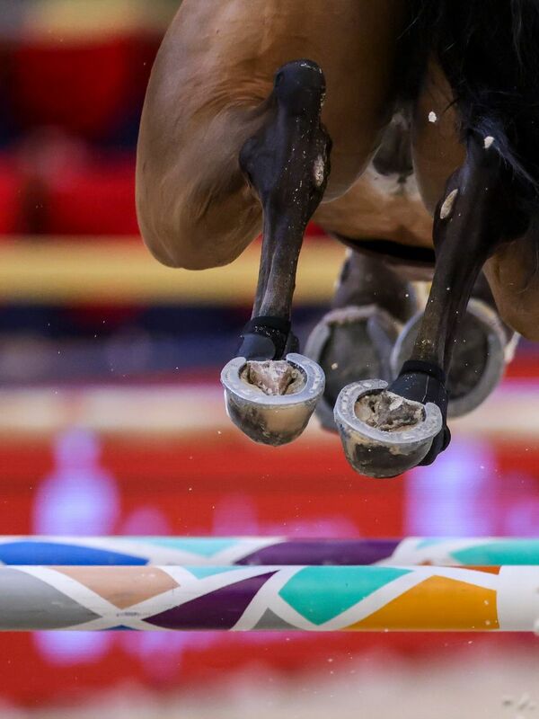 Russische und belarussische Reiter werden bei Olympia in Paris nicht ...