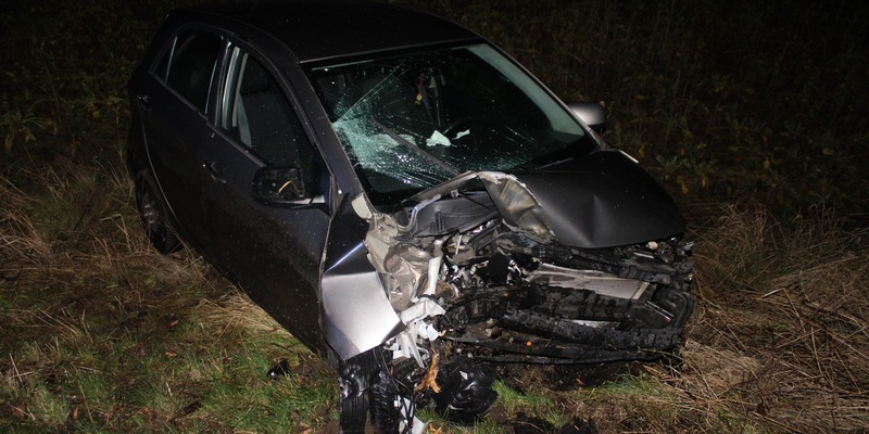 POL-MI: PKW prallt gegen Baum - zwei Schwerverletzte - Foto: presseportal.de