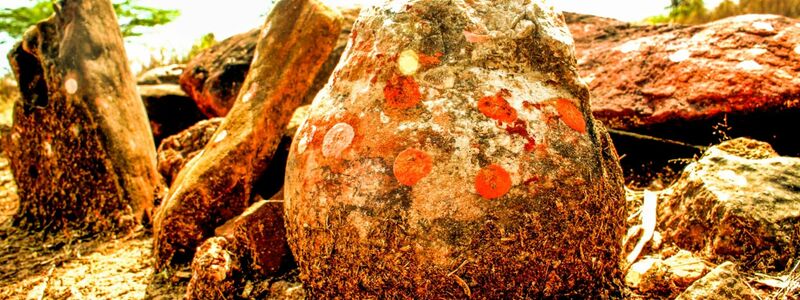Diese als göttlich verehrte Steinkugel in Indien hat sich als Dino-Ei entpuppt. - Foto: Vishal Verma/dpa