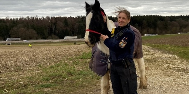 POL Schwaben Nord: Ausgebüxt - Foto: presseportal.de