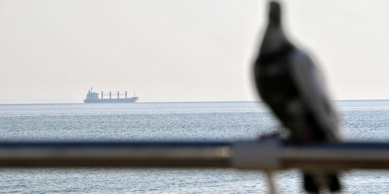 Ein Getreidefrachter im Schwarzem Meer vor Odessa (Symbolbild). - Foto: -/Ukrinform/dpa