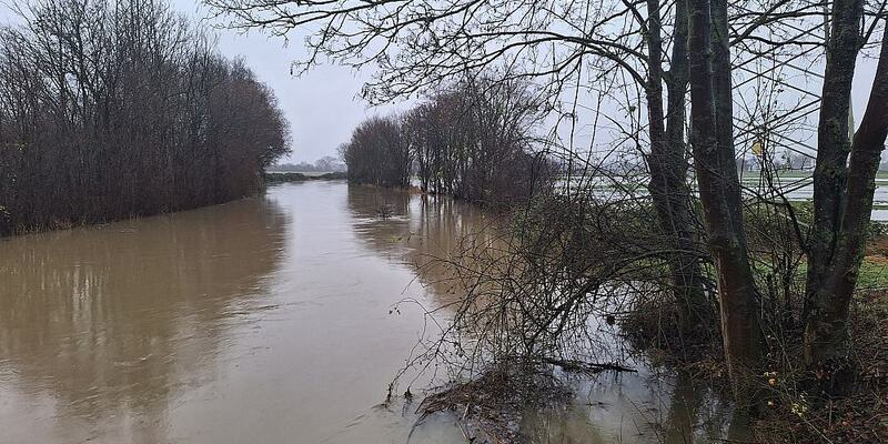 Überschwemmung am Fluss Aue in Niedersachsen - Foto: über dts Nachrichtenagentur