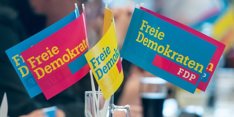 Die FDP-Mitgliederbefragung war Mitte des Monats gestartet. - Foto: picture alliance / Armin Weigel/dpa