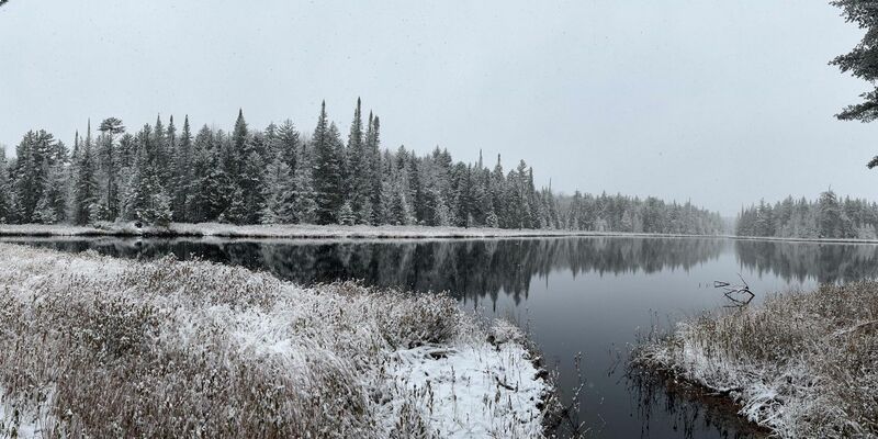 Verbräunung kann den Sauerstoffgehalt des kühleren Tiefenwassers in Seen verringern. - Foto: Eileen Randall/Eurekalert/dpa