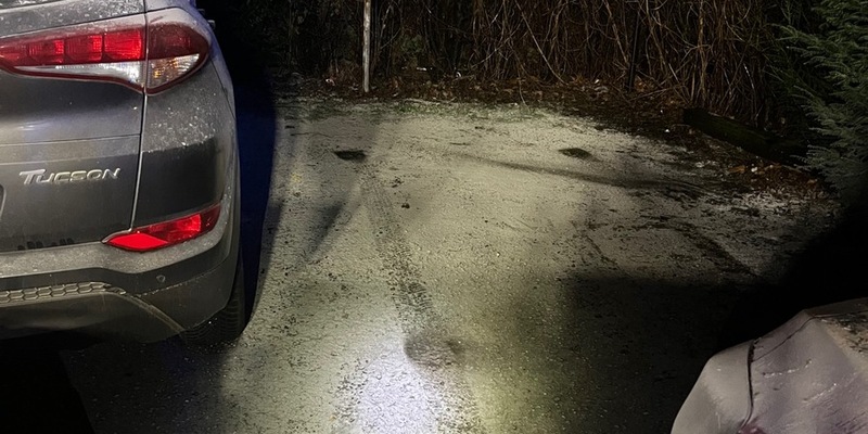 POL-NE: Unbekannte entzünden Hecke mit Feuerwerkskörper - Foto: presseportal.de