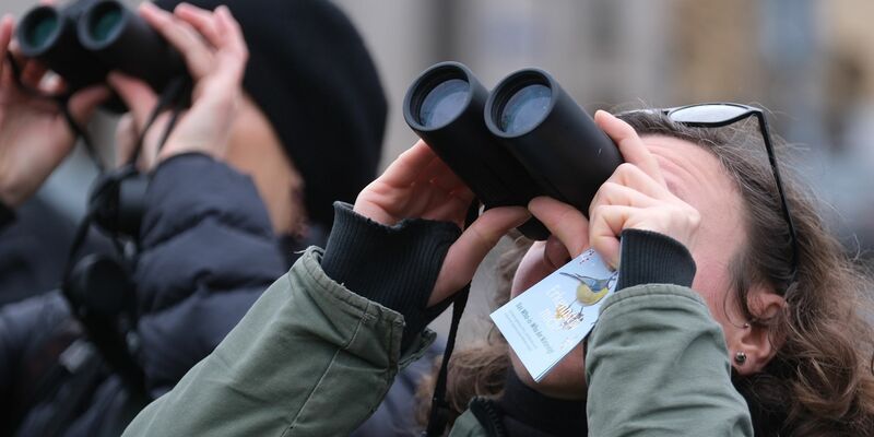 Bei der «Stunde der Wintervögel» können Bürgerinnen und Bürger wieder eine Stunde lang Vögel beobachten. - Foto: Sebastian Willnow/dpa