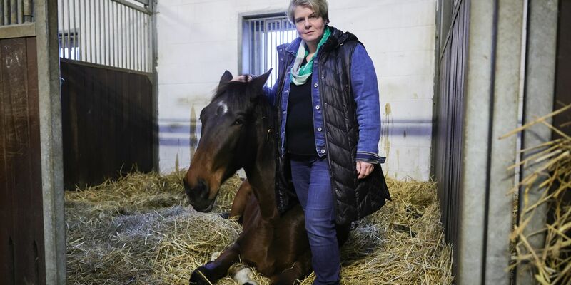 Nadine Wilkens, Landwirtin und Inhaberin einer Pferdepension, hat ihre Tiere vor dem Hochwasser in Sicherheit gebracht. - Foto: Christian Charisius/dpa