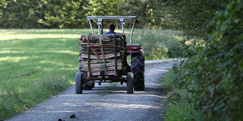 Holztransport (Archiv) - Foto: über dts Nachrichtenagentur