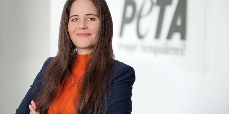 PETA kritisiert Deutschen Bauernverband für Scharade um geplante Subventionskürzungen: Wir sprechen von maximal 4.000 Euro pro Betrieb pro Jahr! - Foto: presseportal.de